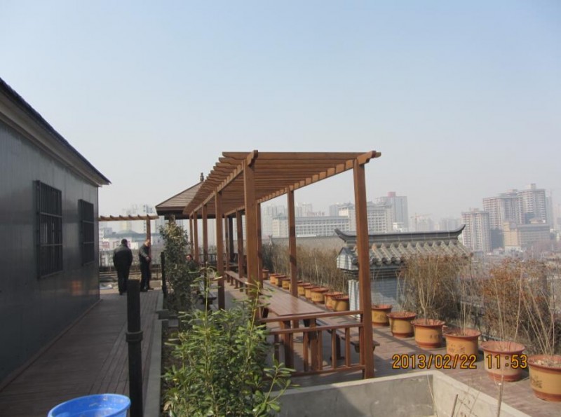 西安西門(mén)沃爾瑪屋頂綠化 (3)
