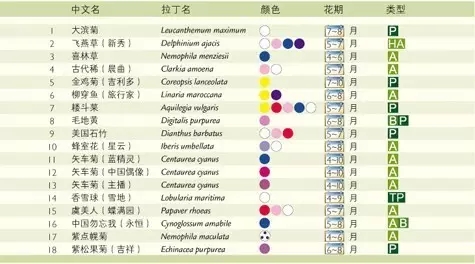640.webp (2)