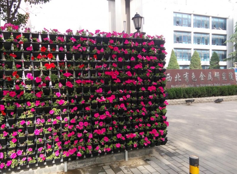 立體綠化 (3)