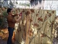 民俗景觀 (2)